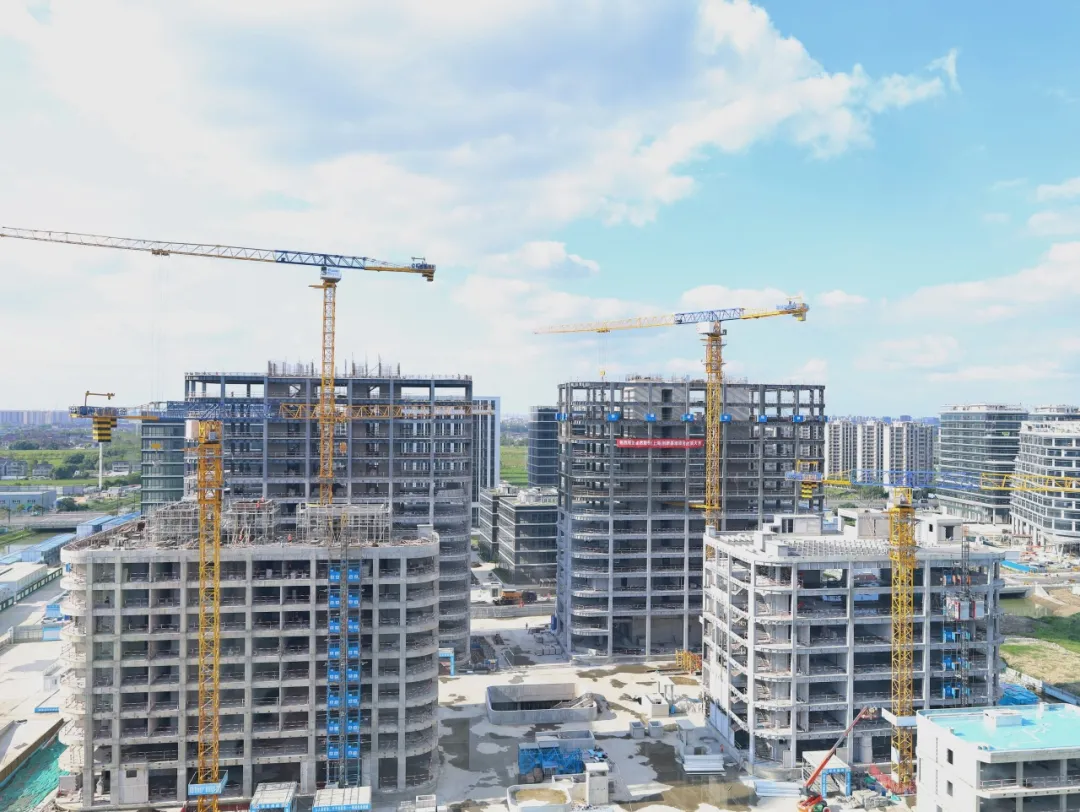 同心同向 造炬成阳 | AG贵宾会2024年第三季度动态速览